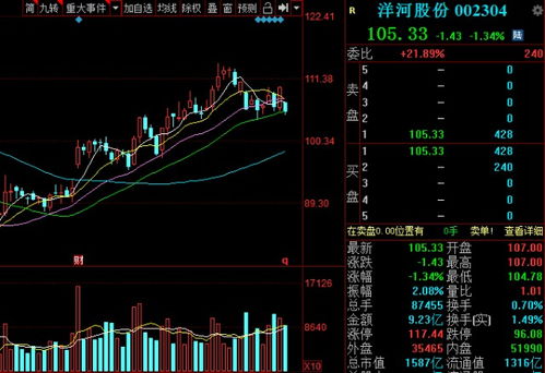 國內(nèi)白酒6大龍頭 名單 ,股民 行業(yè)領(lǐng)軍者,天空才是極限